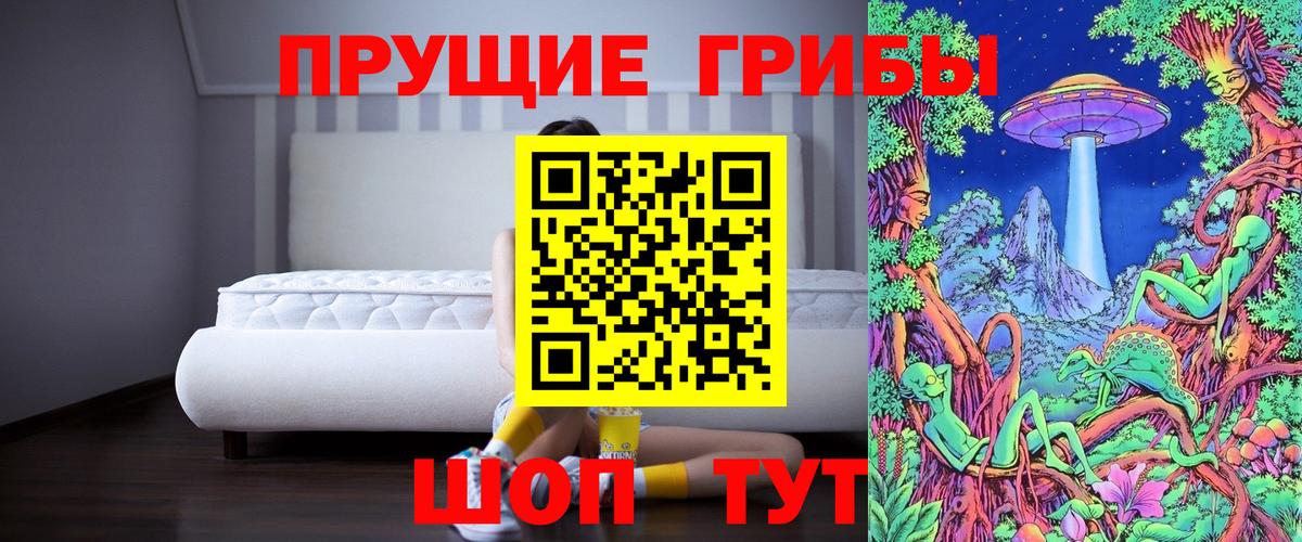 Заволжье  где купить наркотик  Вход с VPN  Галлюциногенные грибы ЛСД 