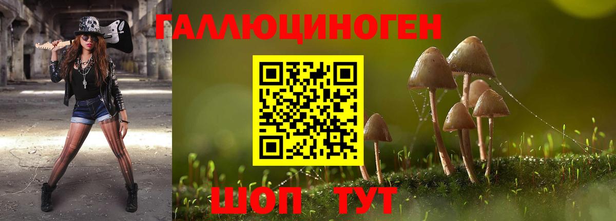 Псилоцибиновые грибы GOLDEN TEACHER Заволжье